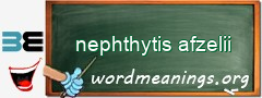 WordMeaning blackboard for nephthytis afzelii